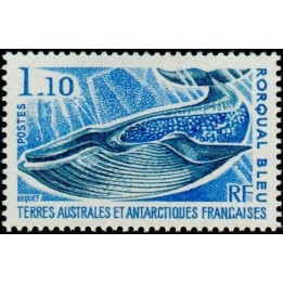 TAAF - 064