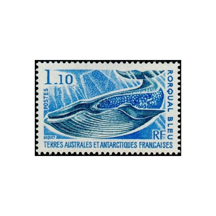 TAAF - 064
