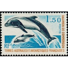 TAAF - 065