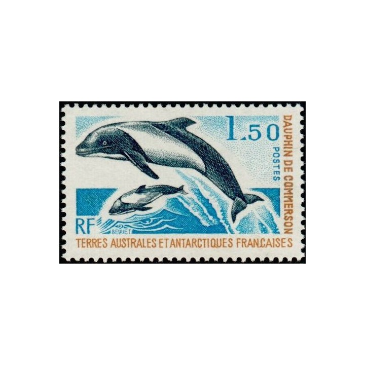 TAAF - 065