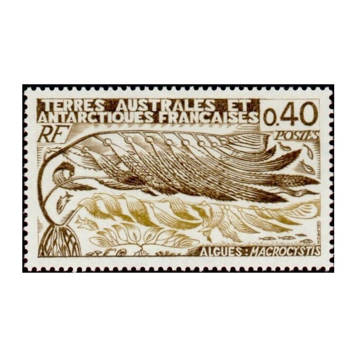 TAAF - 068