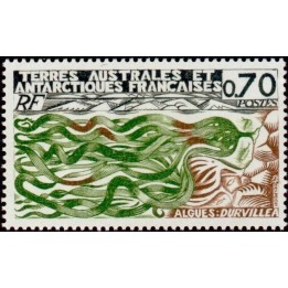 TAAF - 069