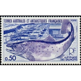 TAAF - 071