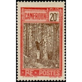 Cameroun - 135