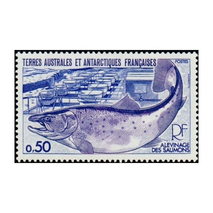TAAF - 071