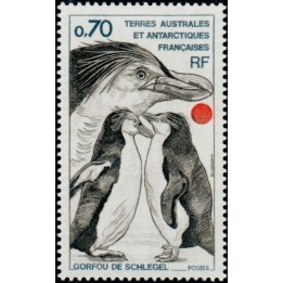 TAAF - 081