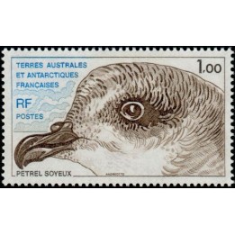 TAAF - 082