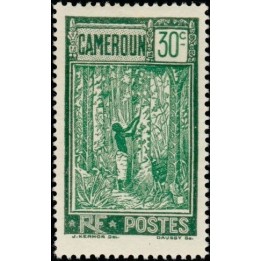 Cameroun - 136