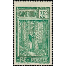 Cameroun - 137