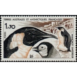 TAAF - 109
