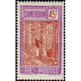 Cameroun - 138