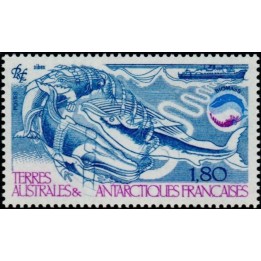 TAAF - 113