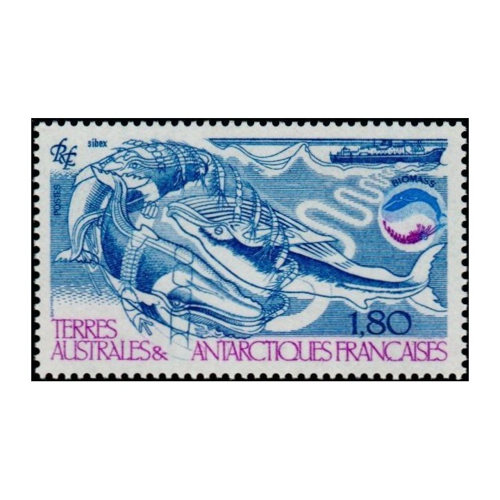 TAAF - 113