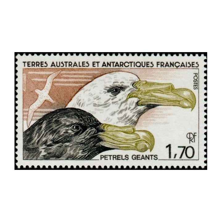 TAAF - 116