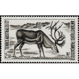 TAAF - 123