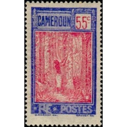 Cameroun - 139