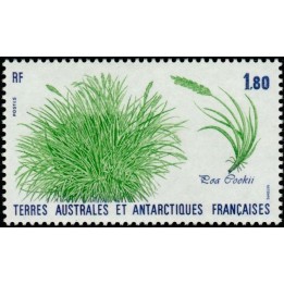 TAAF - 125