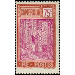 Cameroun - 140