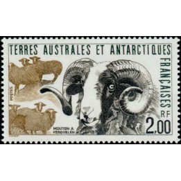 TAAF - 141