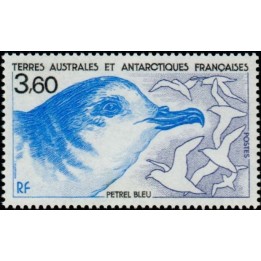 TAAF - 142