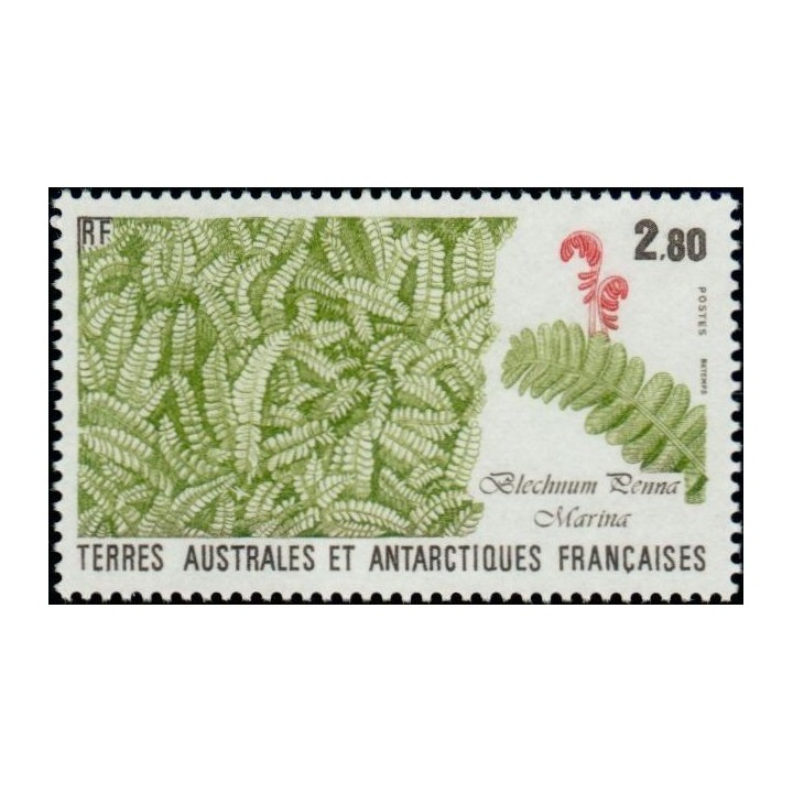 TAAF - 143
