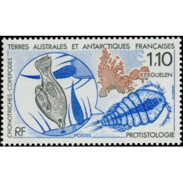 TAAF - 148