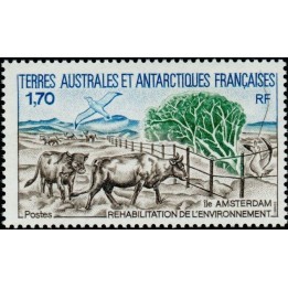 TAAF - 149