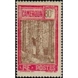 Cameroun - 141