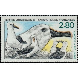 TAAF - 150