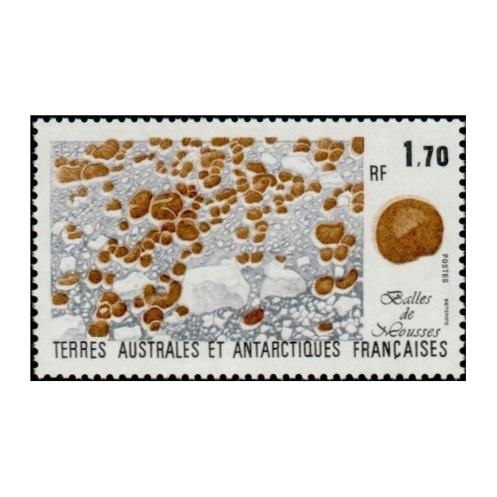 TAAF - 156