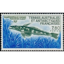 TAAF - 161