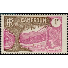 Cameroun - 142