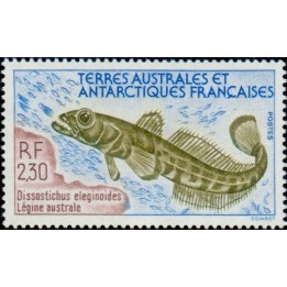 TAAF - 166