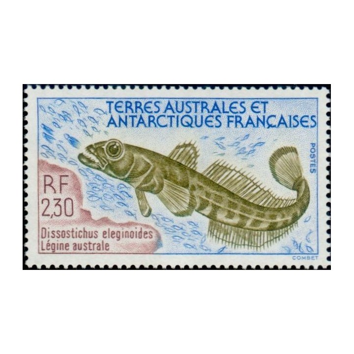 TAAF - 166