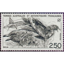 TAAF - 176