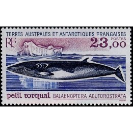TAAF - 197