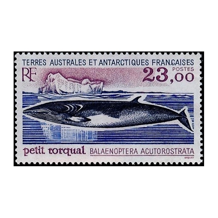TAAF - 197