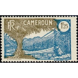 Cameroun - 145