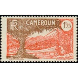 Cameroun - 146