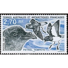 TAAF - 214
