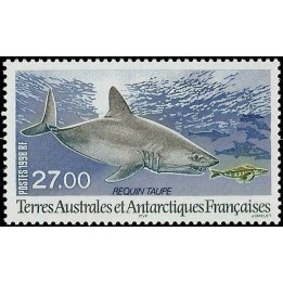 TAAF - 228