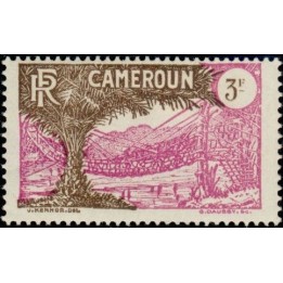 Cameroun - 148