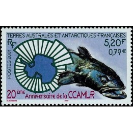 TAAF - 307