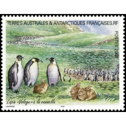 TAAF - 374