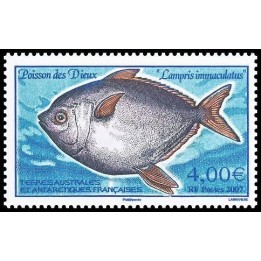 TAAF - 456
