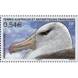 TAAF - 466