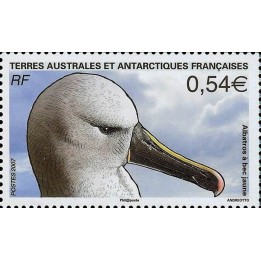 TAAF - 467