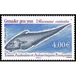 TAAF - 505