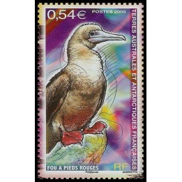 TAAF - 515