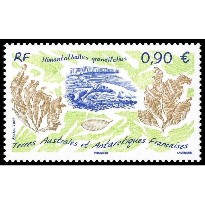 TAAF - 528